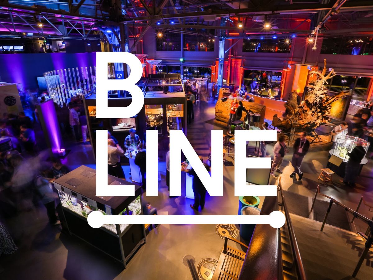 B Line Events