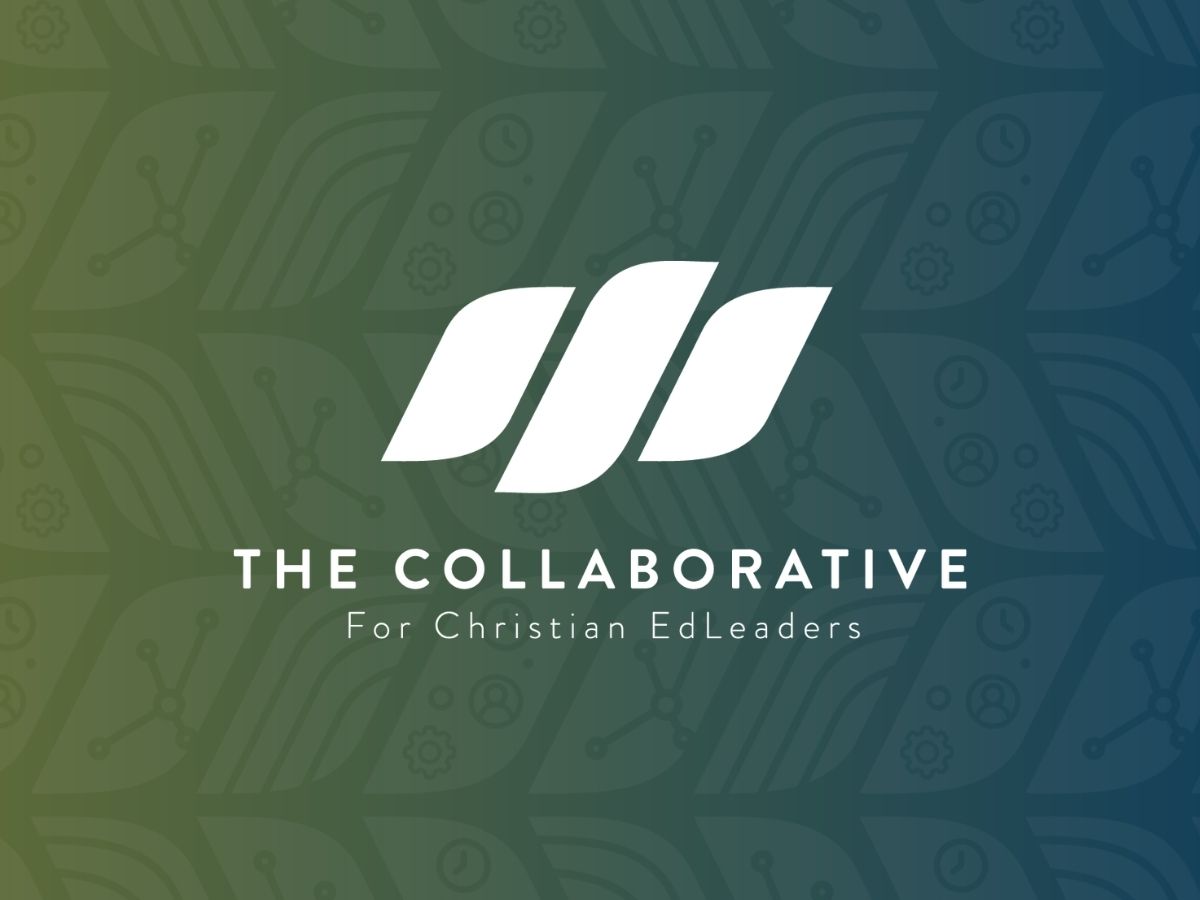The Collaborative's brand, built with Roar from day one